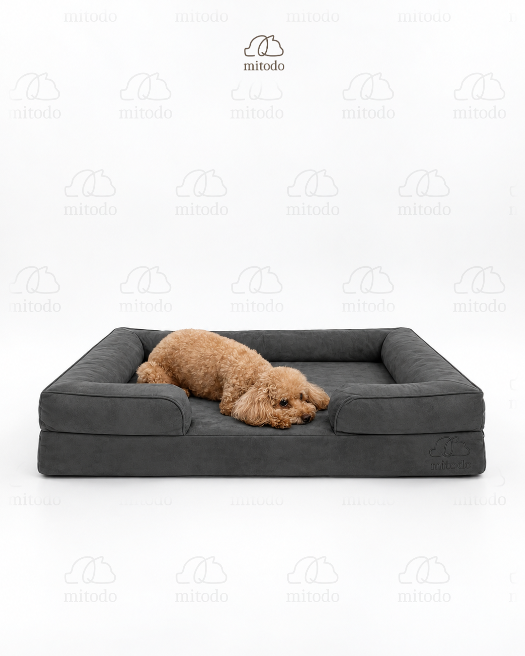 Brownie, our 4kg Miniature Poodle, on a size M Kumo orthopaedic pet bed in Charcoal Gray