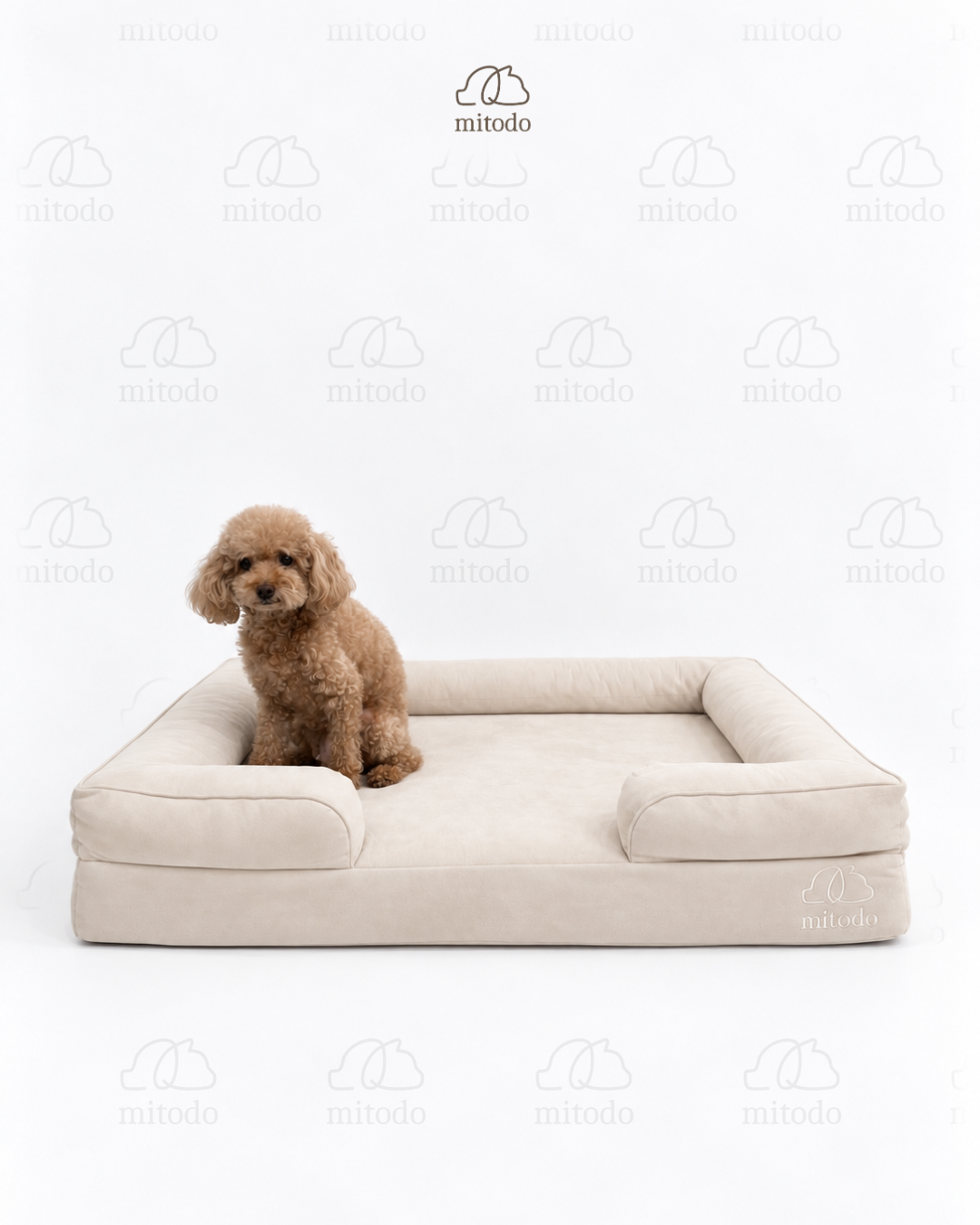 Brownie, our 4kg Miniature Poodle, on a size M Kumo orthopaedic pet bed in Cream