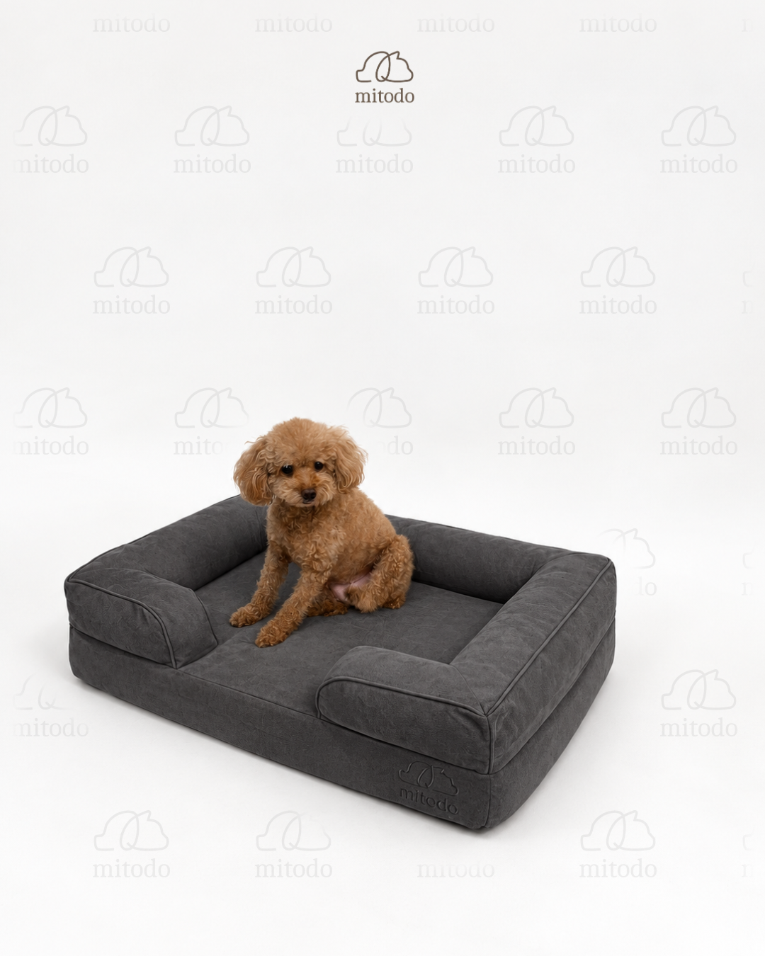 Kumo Orthopaedic Pet Bed in Charcoal Gray with Brownie, our 4kg Miniature Poodle