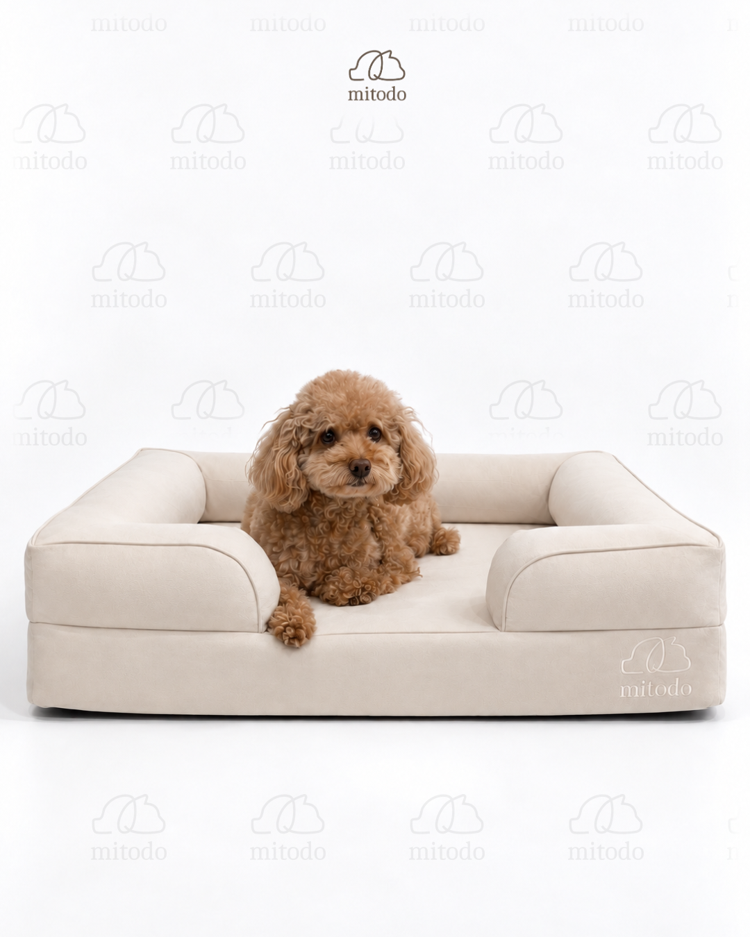 Brownie, our 4kg Miniature Poodle, on a size S Kumo orthopaedic pet bed in Cream
