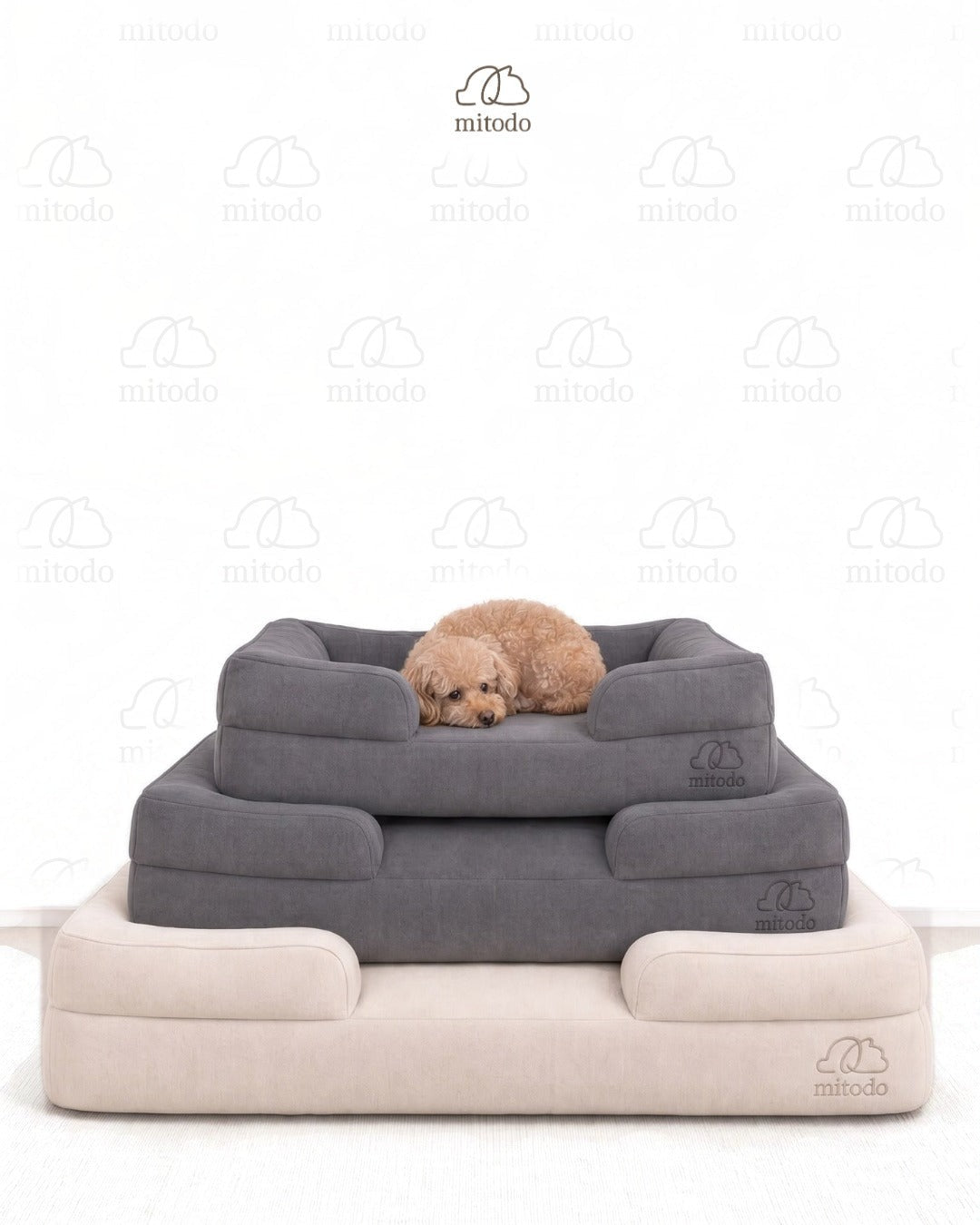 Kumo orthopaedic pet beds in Charcoal Gray and Cream, stacked, with Brownie, our 4kg Miniature Poodle, resting on top