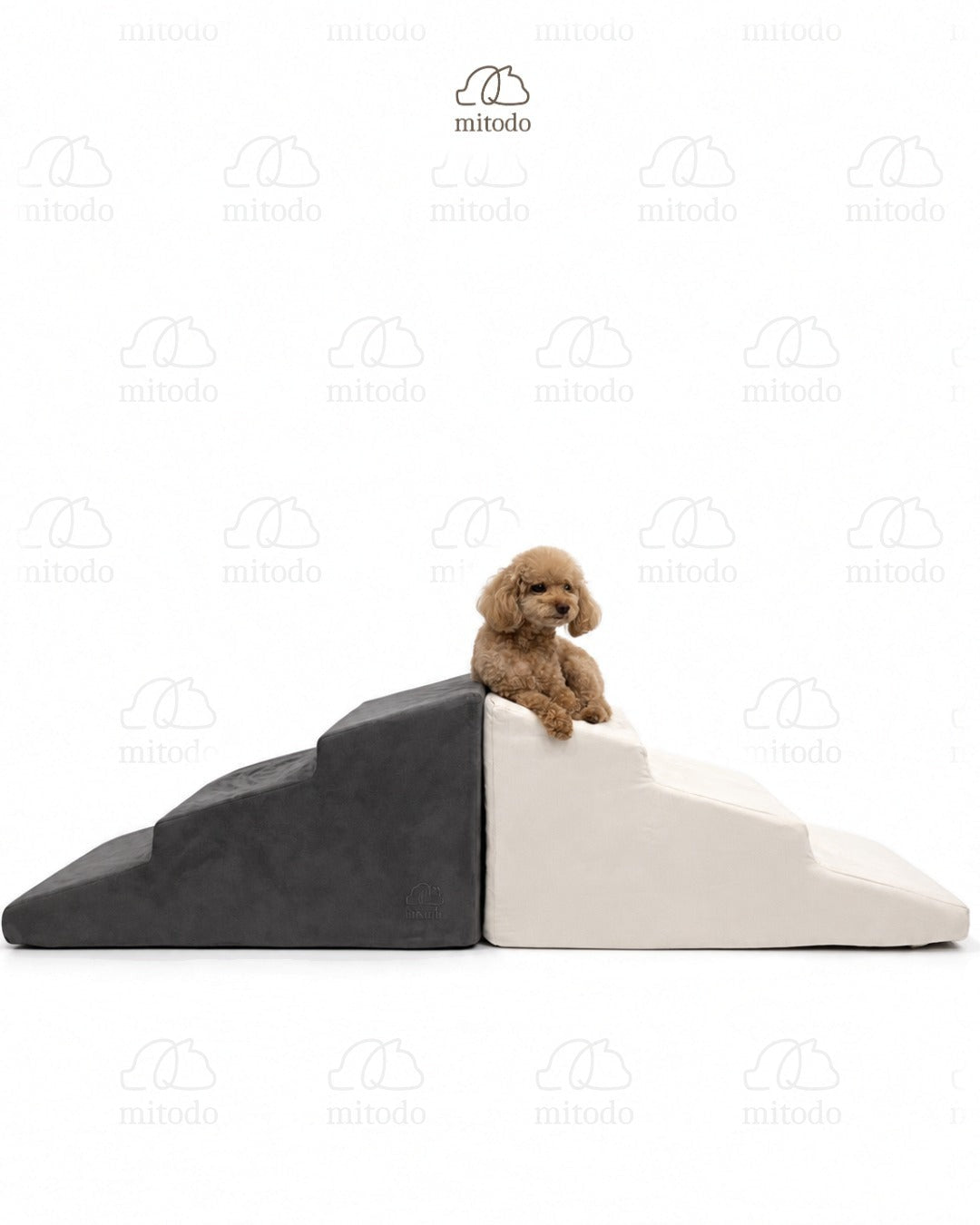 Two Sora pet stairs side by side, with Brownie, our 4kg Miniature Poodle, resting on top