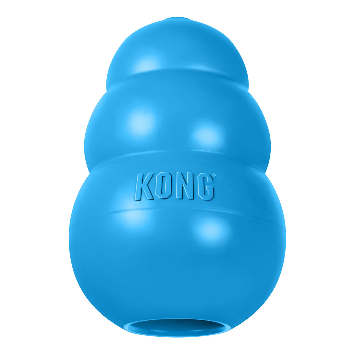 KONG Puppy toy, blue