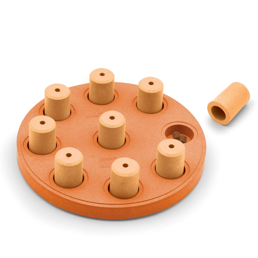 Nina Ottosson Dog Smart puzzle, level 1