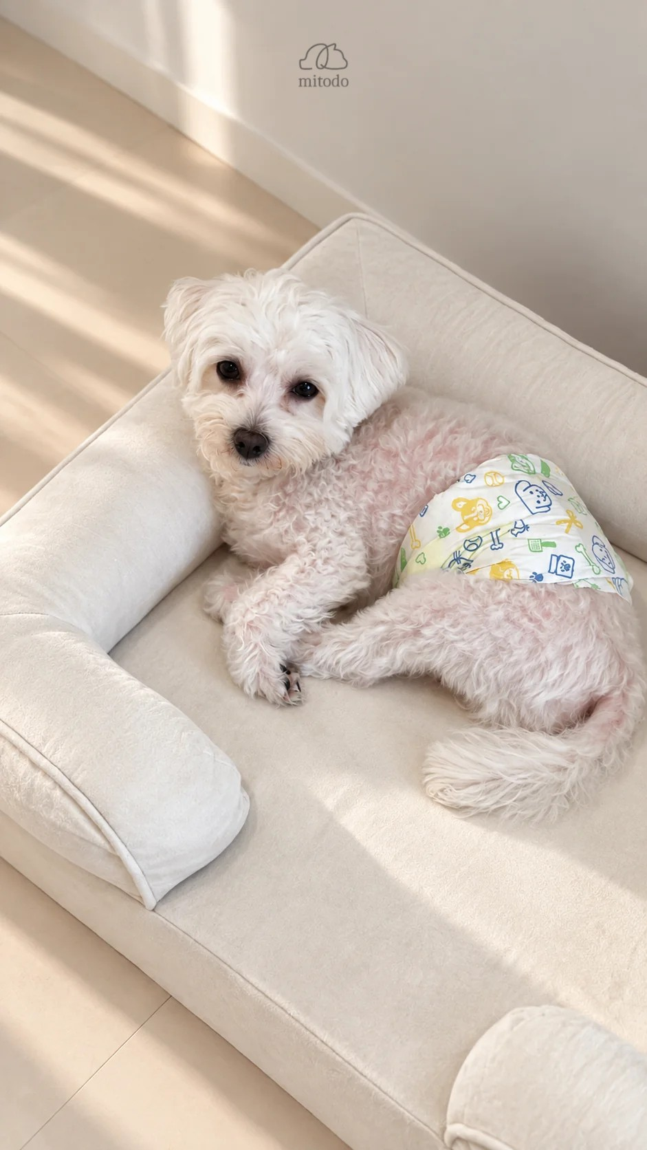 Mantou, our 3.5kg Maltipoo, on a size S Mitodo Kumo orthopaedic pet bed in Cream