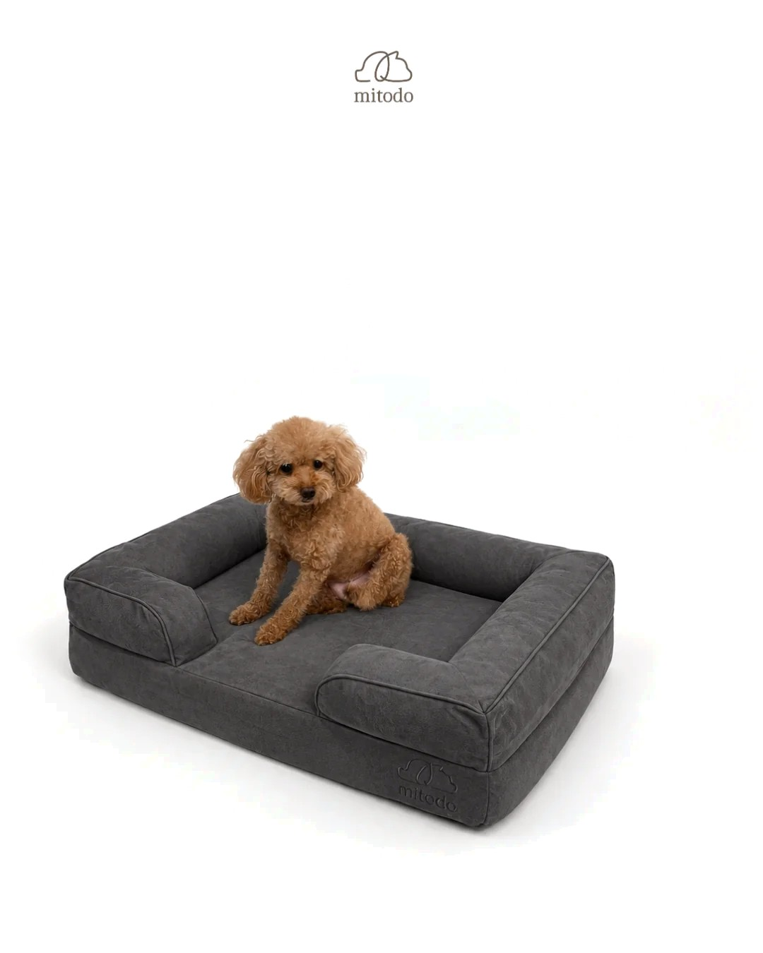 Brownie, our 4kg Miniature Poodle, on a size S Mitodo Kumo orthopaedic pet bed in Charcoal Gray