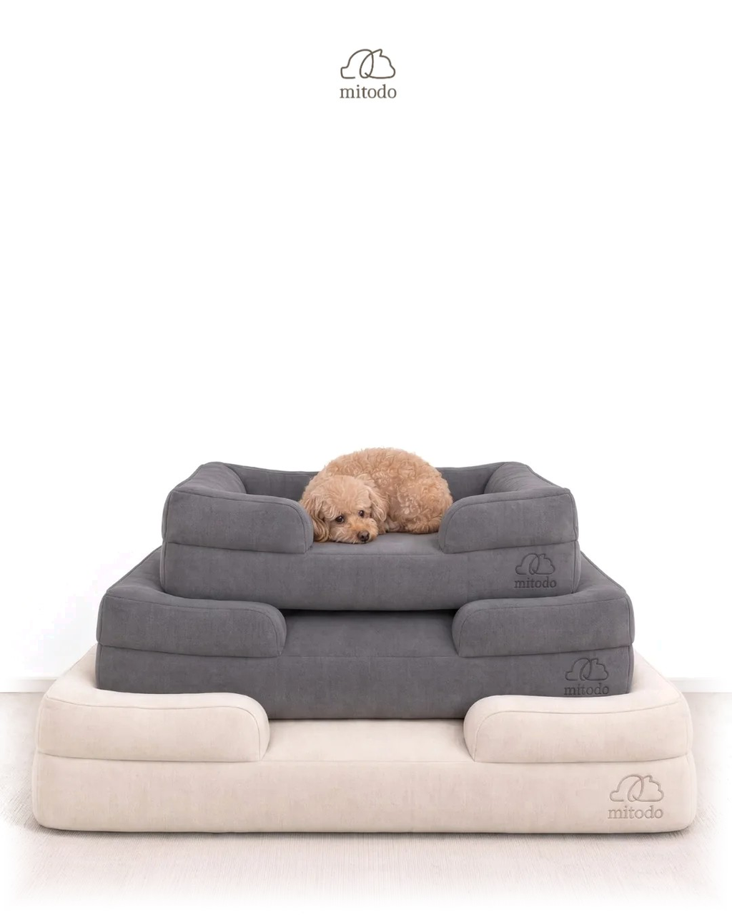 Mitodo Kumo Bed + Sora Stairs Set: Kumo orthopaedic beds in Cream and Charcoal Gray with Brownie, our 4kg Miniature Poodle