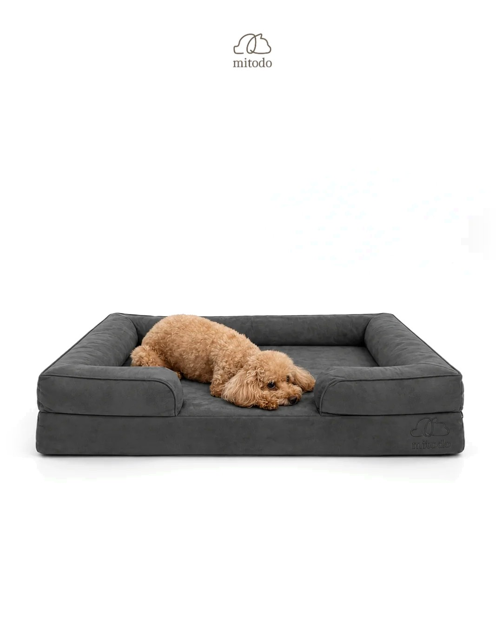 Brownie, our 4kg Miniature Poodle, on a size M Mitodo Kumo orthopaedic pet bed in Charcoal Gray