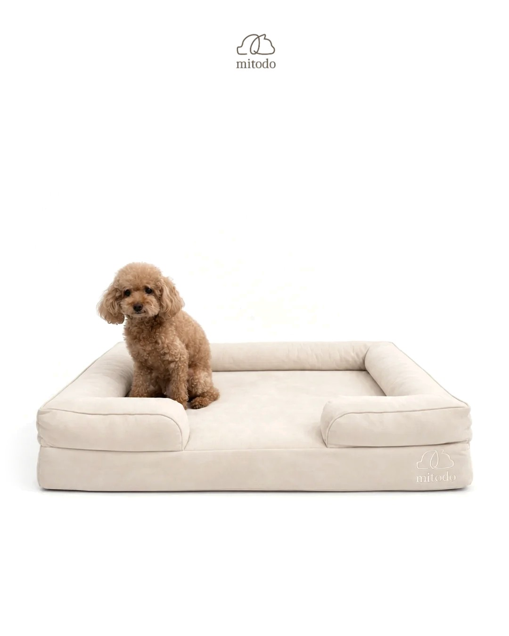 Brownie, our 4kg Miniature Poodle, on a size M Mitodo Kumo orthopaedic pet bed in Cream