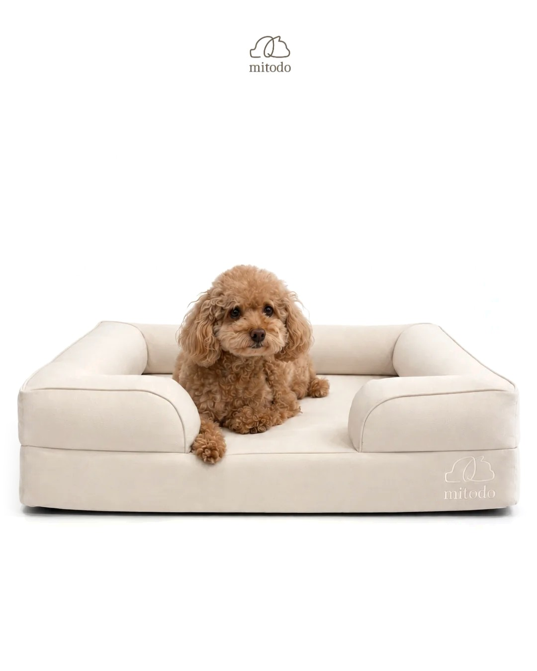 Mitodo Kumo Orthopaedic Pet Bed in Cream with Brownie, our 4kg Miniature Poodle