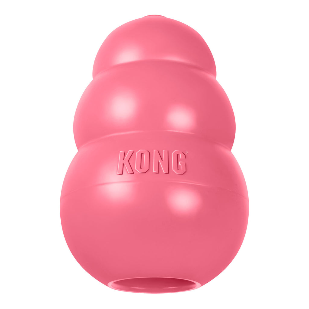KONG Puppy toy