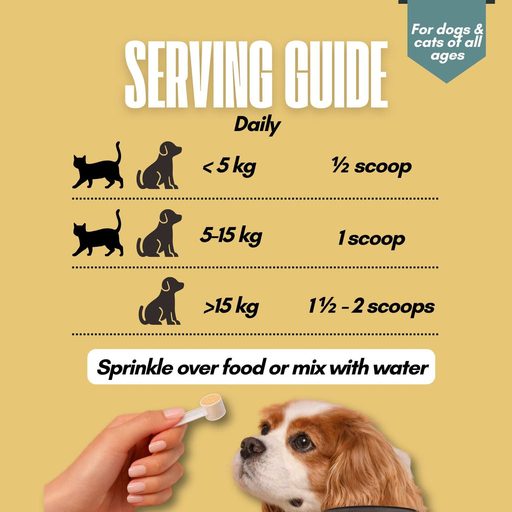 Frez Holy Krill daily serving guide by pet weight