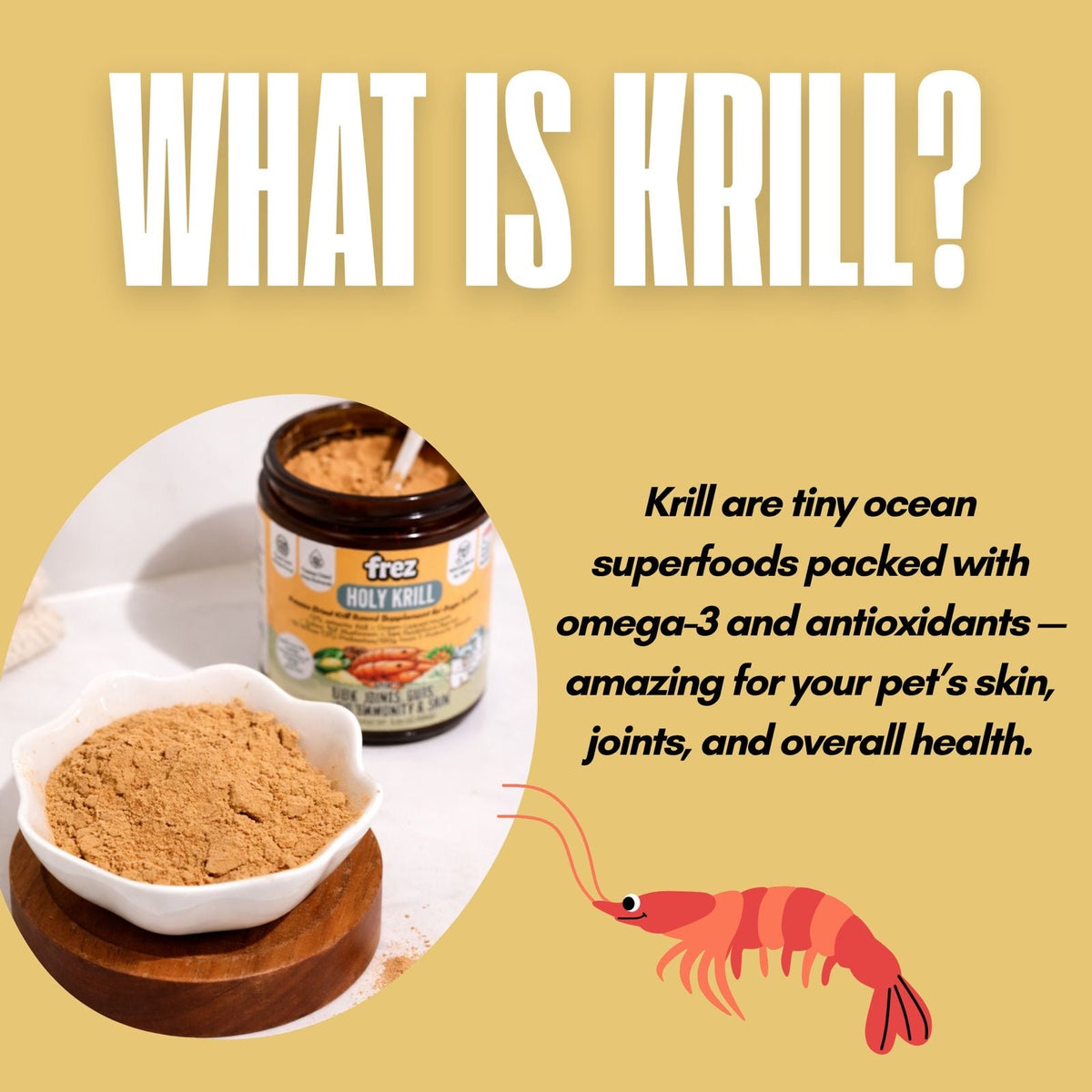 What is krill: tiny ocean crustaceans in Frez Holy Krill