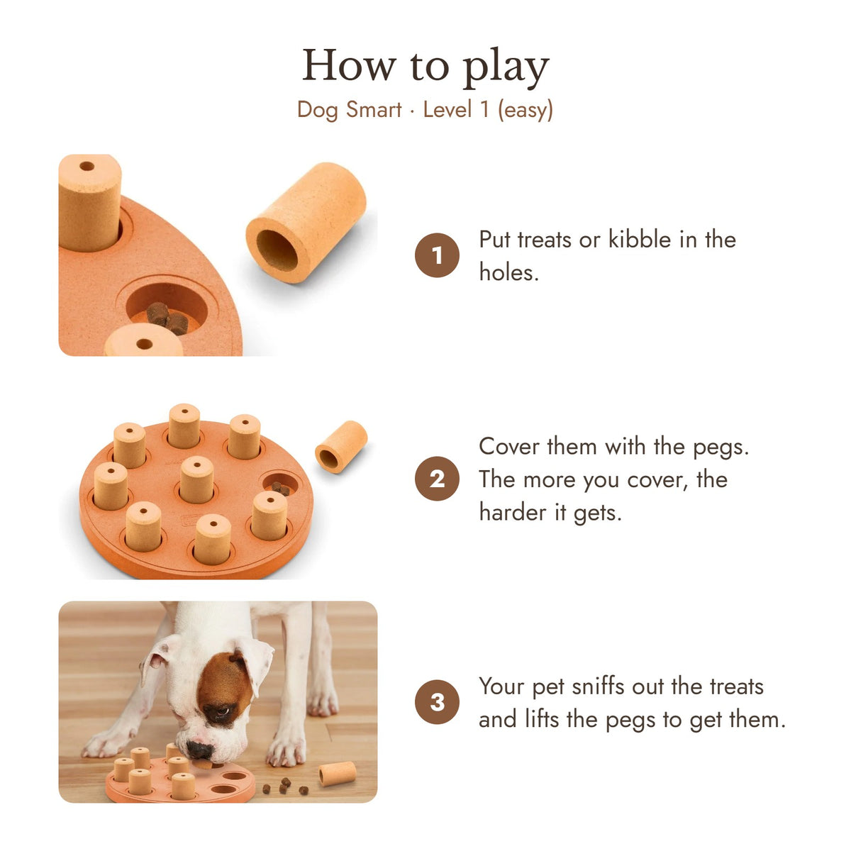 How to play Dog Smart (Level 1): put treats in the holes, cover them with the pegs, and your pet lifts the pegs to find them