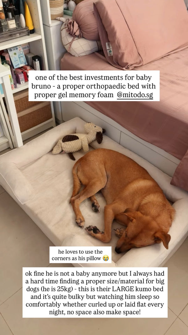 Instagram story from a customer: One of the best investments for baby Bruno – a proper orthopaedic bed with proper gel memory foam