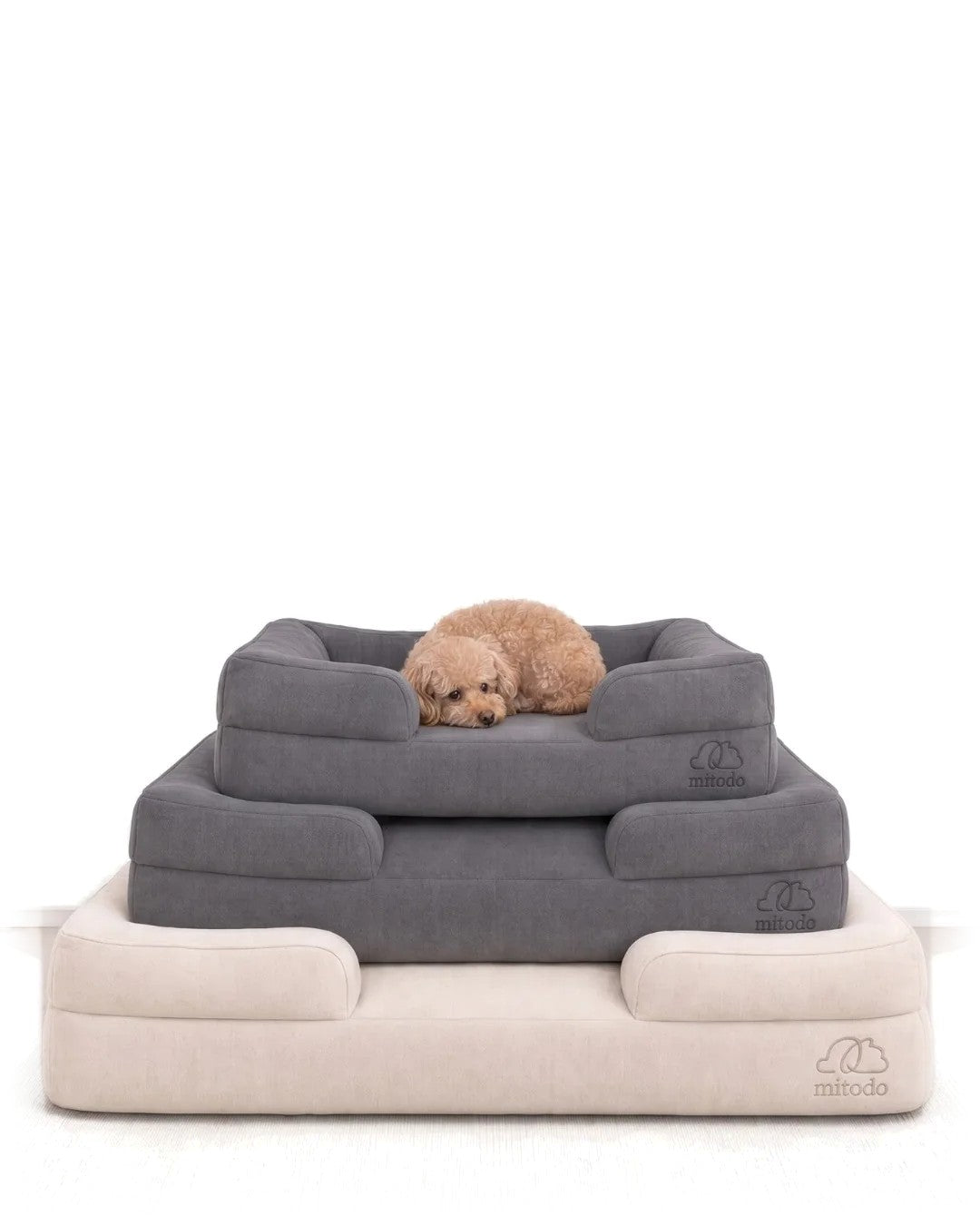 Mitodo Kumo orthopaedic pet beds in Charcoal Gray and Cream, stacked, with Brownie, our 4kg Miniature Poodle, resting on top