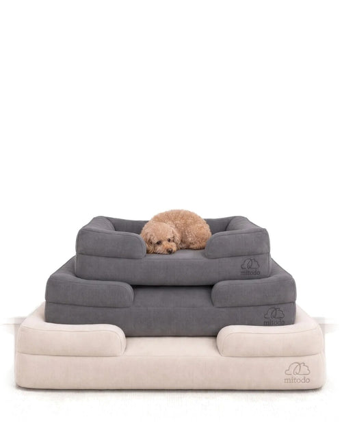 Mitodo Kumo orthopaedic pet beds in Charcoal Gray and Cream, stacked, with Brownie, our 4kg Miniature Poodle, resting on top
