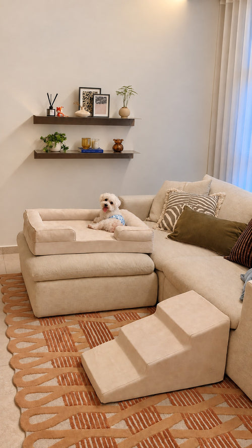 Cream Mitodo Sora pet stairs on a rug beside the sofa, with Man Tou (馒头), our white Maltipoo, resting in a cream Mitodo Kumo bed on the ottoman