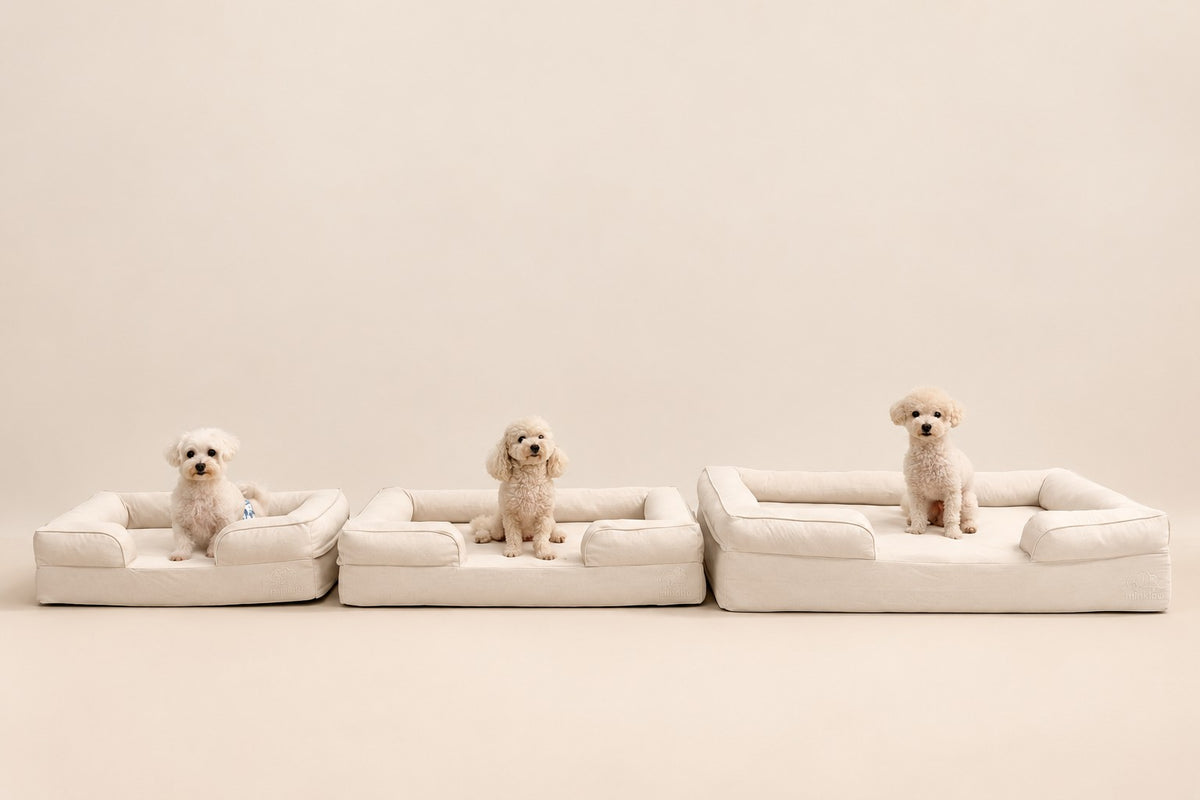 Three Mitodo pups sitting in cream Kumo beds in Small, Medium and Large