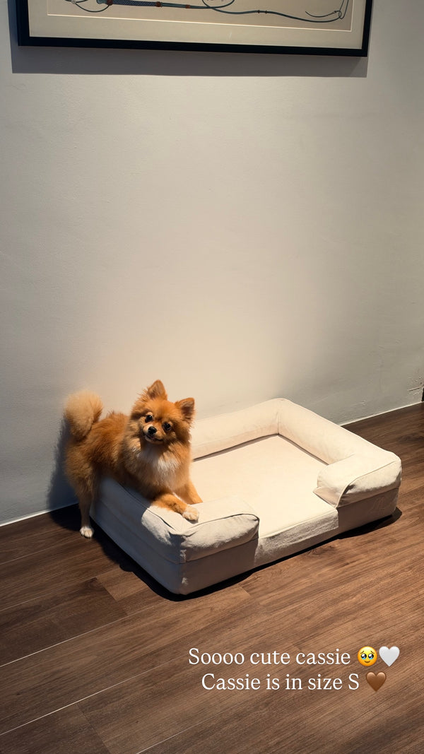 Cassie on a Mitodo Kumo bed