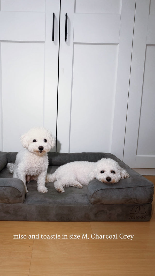 Miso and Toastie on a Mitodo Kumo bed