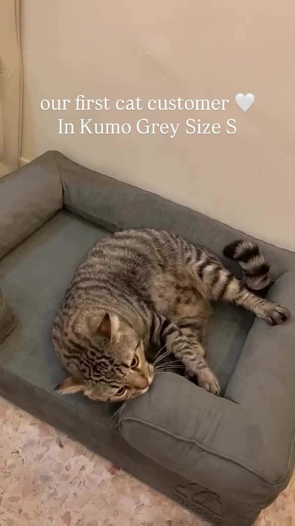 Moi the cat stretched out on a grey Kumo bed, Small