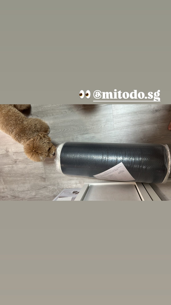 Toy poodle sniffing a rolled Kumo bed fresh out of the Mitodo box