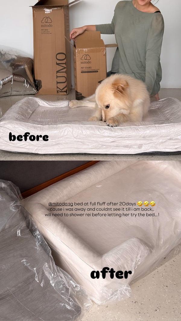 Rei on a Kumo bed, before and after fluffing
