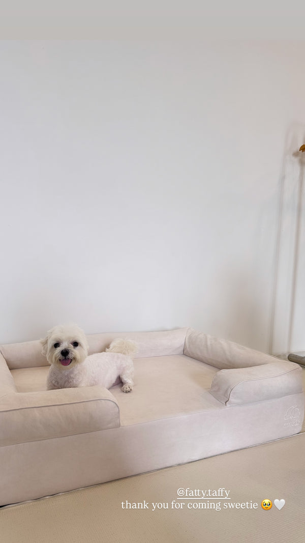 Taffy on a Mitodo Kumo bed