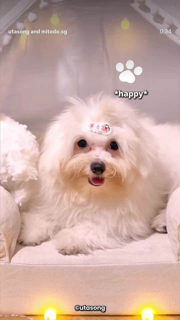 Tau Hu on a cream Kumo bed
