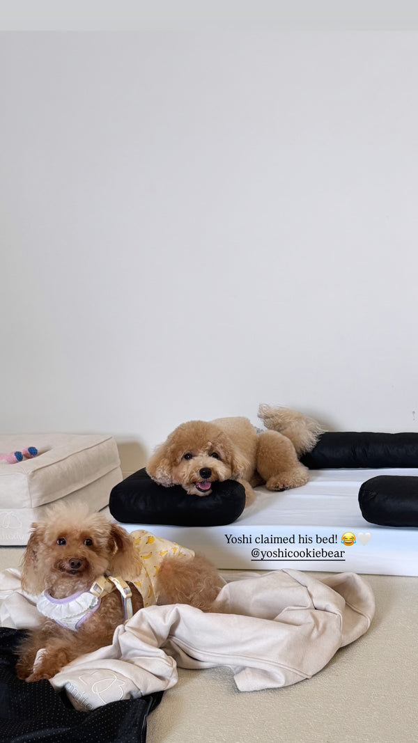 Yoshi on a Mitodo Kumo bed
