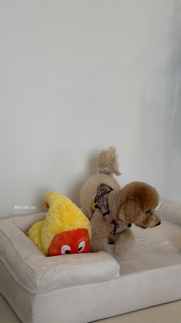 Yoshi on a Mitodo Kumo bed