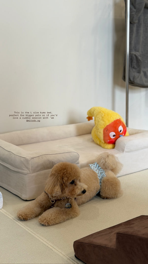 Yoshi beside a Mitodo Kumo bed