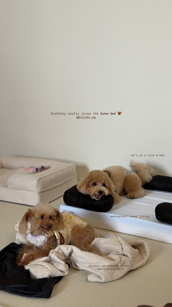Yoshi on a Mitodo Kumo bed