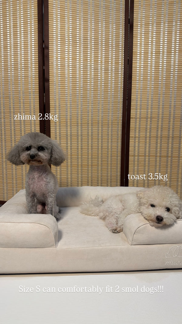 Zhima and Toast on a Mitodo Kumo bed