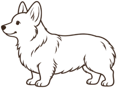 Line drawing of a Corgi, a typical medium dog
